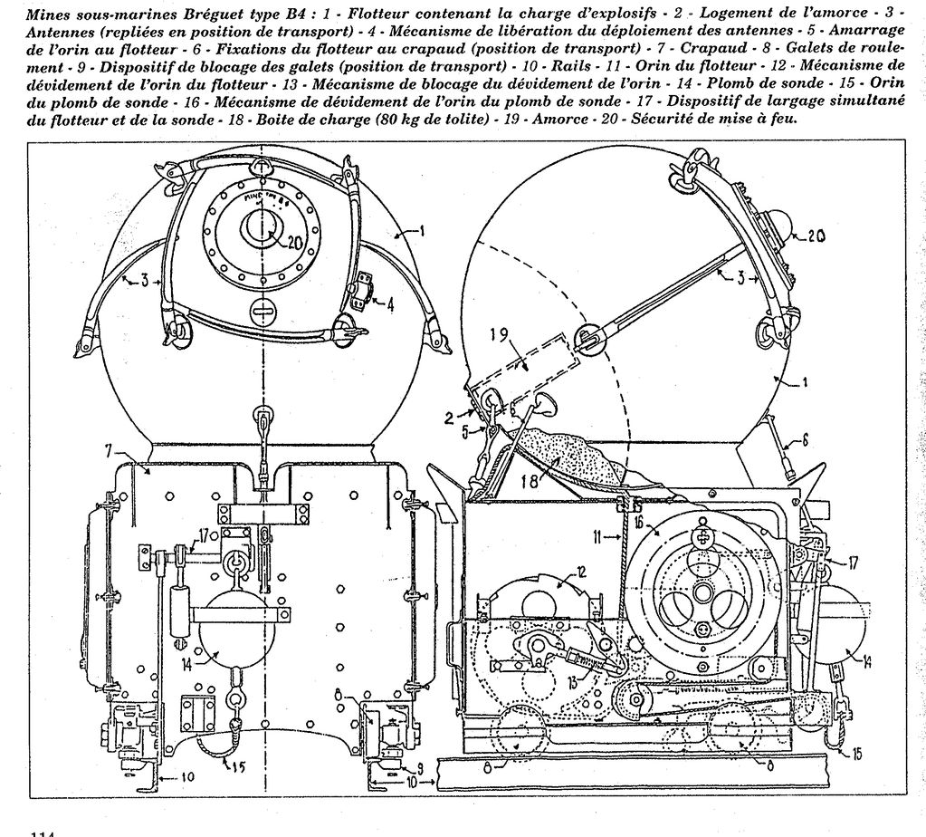 Мина аглицкая.jpg