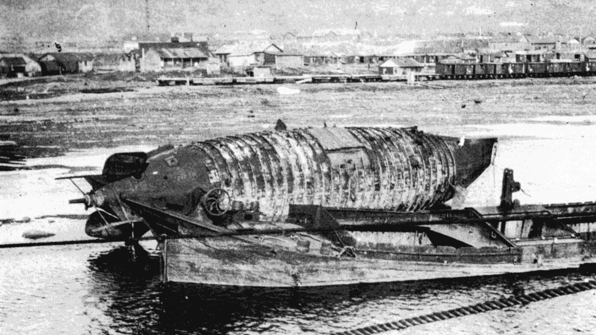 Дельфин_Мурманск_1919 г.jpg