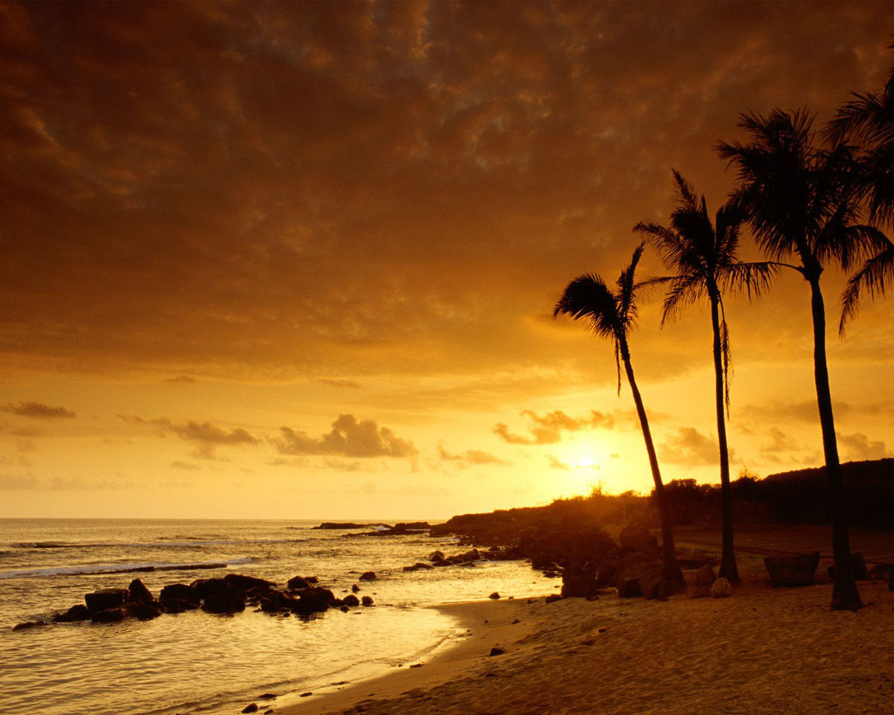 sunset-palms-1280.jpg