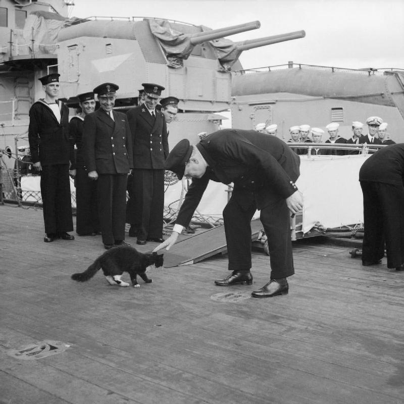 Churchill and the Prince of Wales’ ship’s cat.jpg
